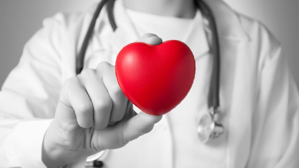 Finding The advantages of Pet Medical Health Insurance