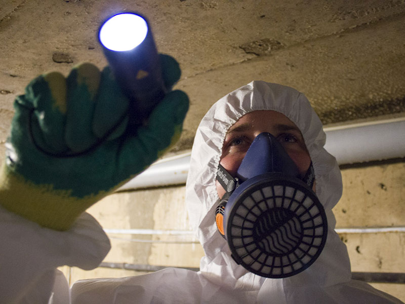 Why Professional Asbestos Surveyors Can Be Cheaper