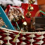 Christmas Gift Hampers - The Most Popular Ideas For Christmas Hampers This Year